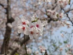 -苏州上方山国家森林公园