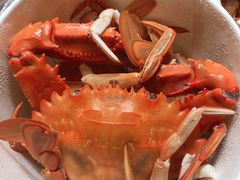 -金海湾海鲜排档(朱家尖店)