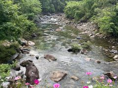-石台牯牛降景区