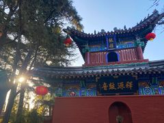 -洛阳白马寺