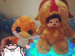 -PAWTOY爪e玩偶店(天兴罗斯福店)