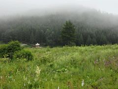 -驼梁风景区