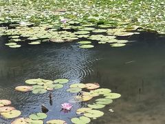 -星巴克(深圳前海企业公馆店)