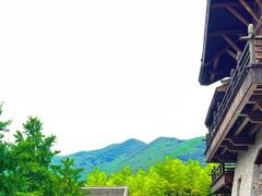 -大唐贡茶院