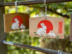 -常寂光寺
