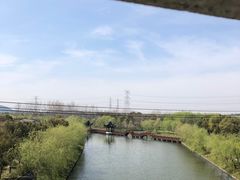 -广富林郊野公园
