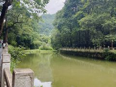 -黔灵山公园