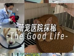 -派特宠物医院(海岸城店)