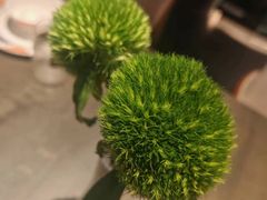 -芙蓉十九·新湘菜
