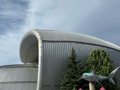 -烟台海昌鲸鲨海洋公园