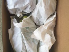 -马陆小张葡萄园农家乐