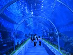 -石家庄极地海洋世界