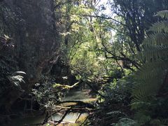 -怀托摩萤火虫洞