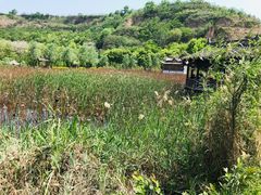 -渭南桃花源民俗文化园