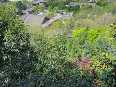 -华清宫景区