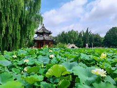 -莲池书院博物馆