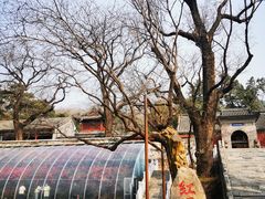 -红螺寺