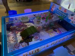 -卡通尼·Safari非洲探索乐园·生日会(金桥国际商业广场店)