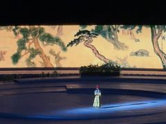 -鼎盛王朝康熙大典实景演出