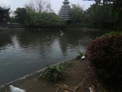 -厦门园林博览苑
