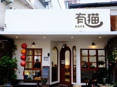 -有猫主题·治愈系猫咖(曾厝垵店)