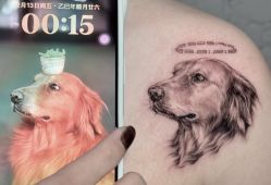 -PinooTattoo皮奴刺青纹身设计总部