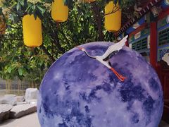 -杨家埠民间艺术大观园