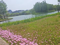 -尚贤河湿地