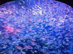 -成都浩海立方海洋公园