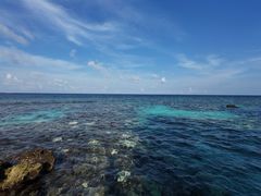 -中央格兰德岛温泉度假酒店 - 全包