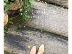 -龙山酒店温泉