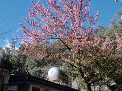 -寂照庵
