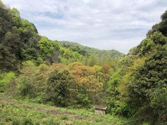-小格里自然风景区