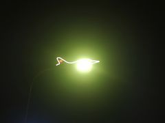 -洪都大拇指(洪都店)