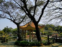 -广州莲花山旅游区