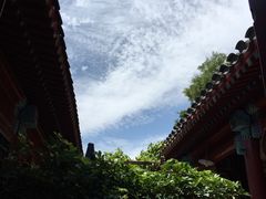 -百好乐宠物友好餐厅(朝外大街店)