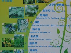 -东部华侨城