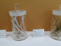 -黑龙江中医药大学