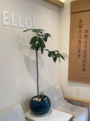 -可樱汇·美容洗发SPA