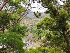 -梧桐山风景名胜区