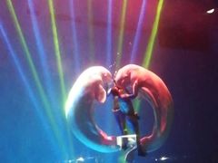 -芜湖新华联大白鲸海洋公园