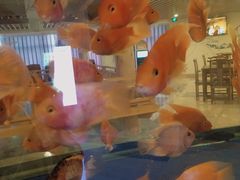 -玲珑汤泉生活会馆(花桥店)