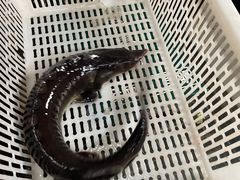 -姚记抚仙湖石锅鱼庄