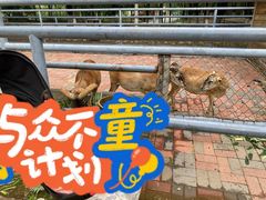 -长白岛森林公园