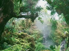 -Chom Cafe and Restaurant