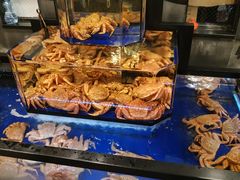 -蟹道乐(道顿堀本店)