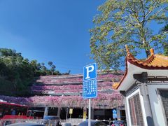 -深圳仙湖植物园