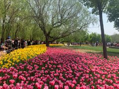 -长春公园(普阳街道)