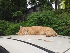 -湖北中医药大学(昙华林校区)