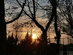 -南京理工大学紫金学院